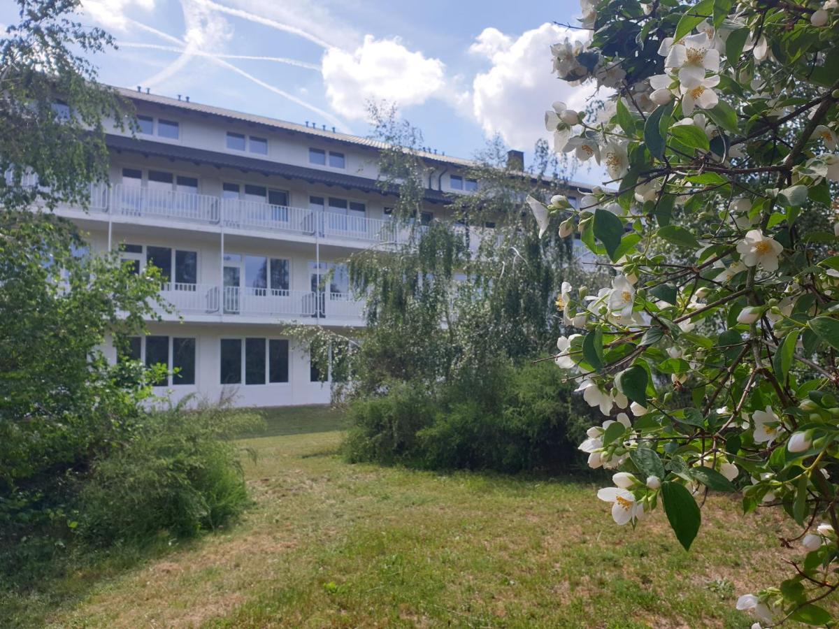 Gaestehaus Hassloch/Pfalz Buitenkant foto